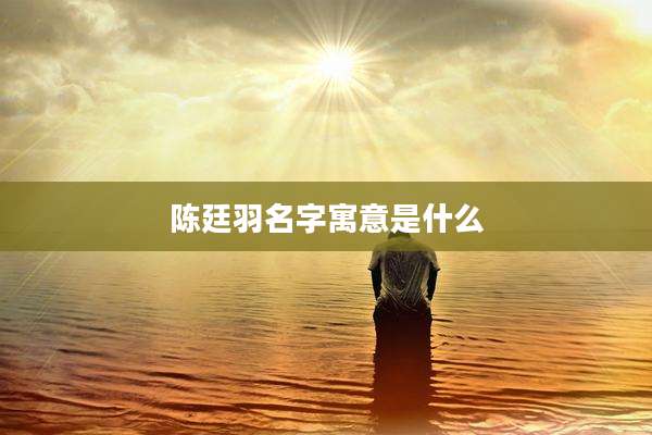 陈廷羽名字寓意是什么