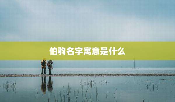 伯驹名字寓意是什么