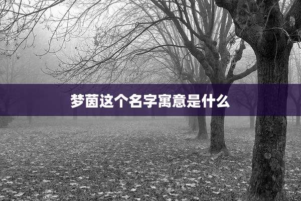 梦茵这个名字寓意是什么