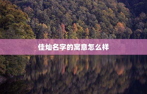 佳灿名字的寓意怎么样