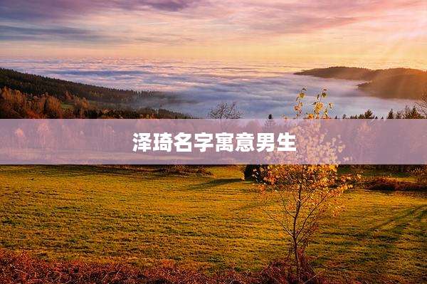 泽琦名字寓意男生