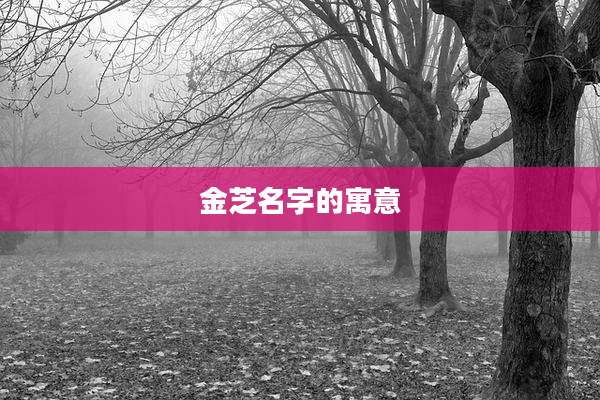 金芝名字的寓意