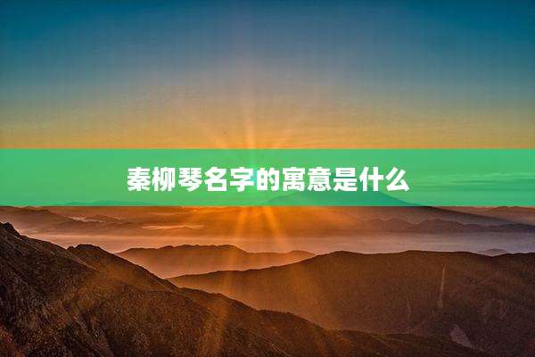 秦柳琴名字的寓意是什么