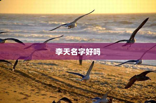 李天名字好吗