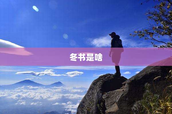 冬书是啥