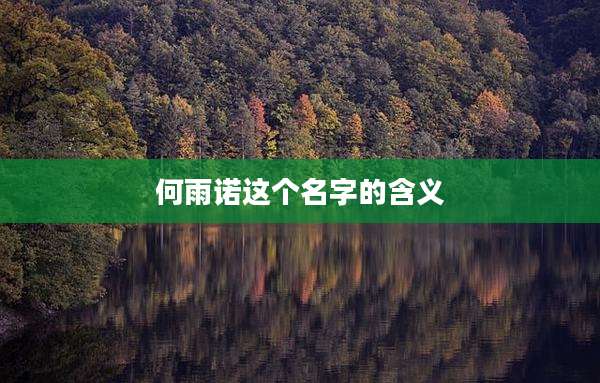 何雨诺这个名字的含义