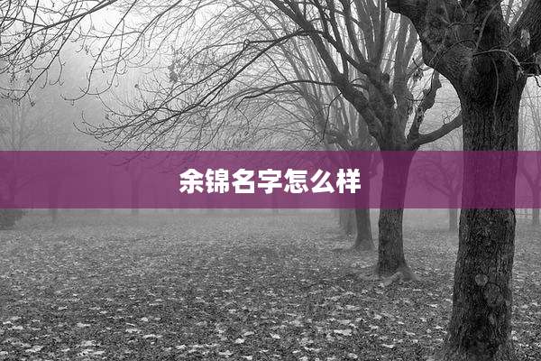 余锦名字怎么样