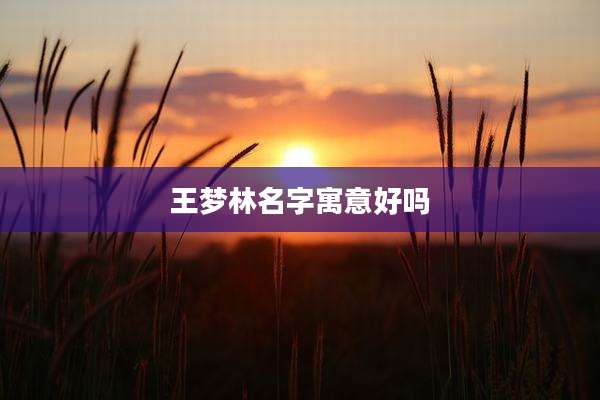 王梦林名字寓意好吗
