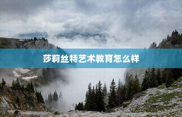 莎莉丝特艺术教育怎么样