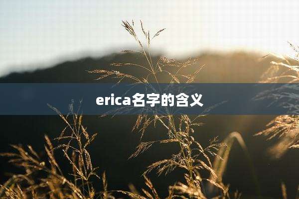erica名字的含义