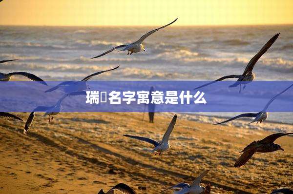 瑞珺名字寓意是什么