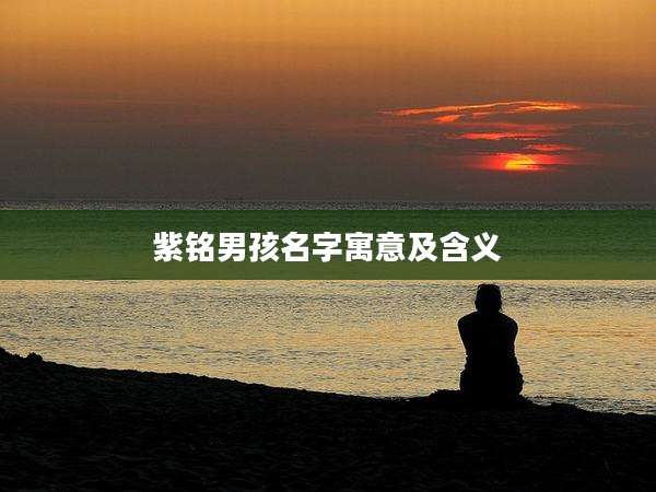 紫铭男孩名字寓意及含义