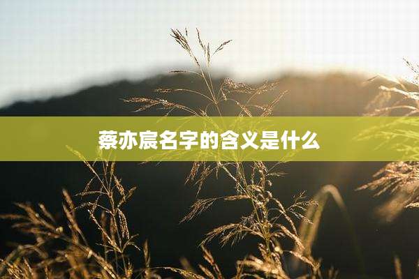 蔡亦宸名字的含义是什么