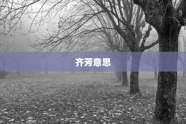 齐芳意思
