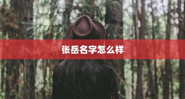 张岳名字怎么样