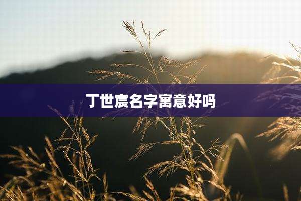 丁世宸名字寓意好吗