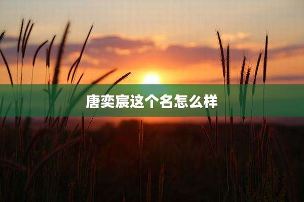 唐奕宸这个名怎么样