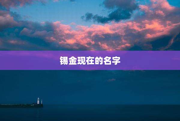 锡金现在的名字