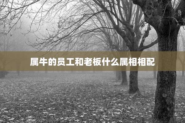 属牛的员工和老板什么属相相配