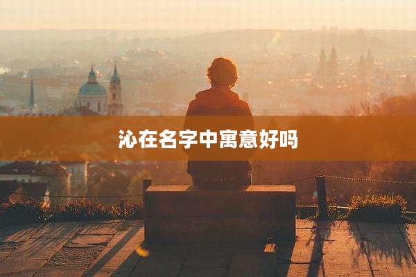 沁在名字中寓意好吗