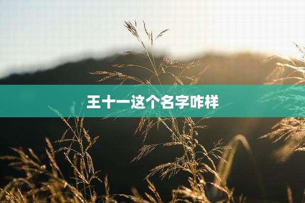 王十一这个名字咋样
