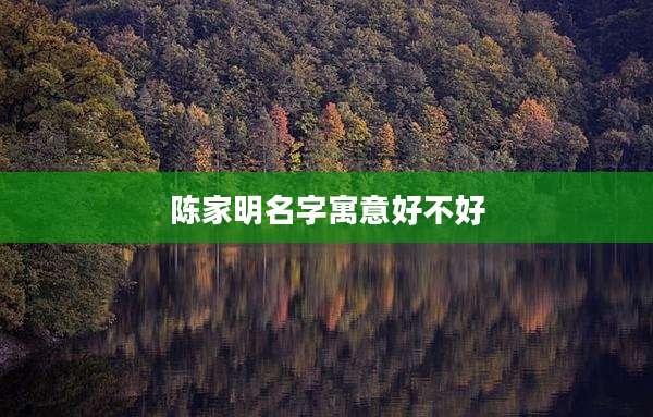 陈家明名字寓意好不好