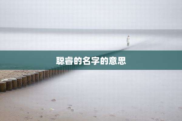 聪睿的名字的意思