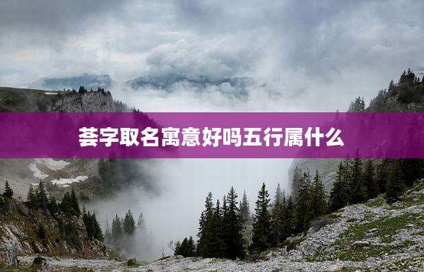 荟字取名寓意好吗五行属什么
