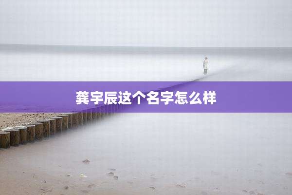 龚宇辰这个名字怎么样