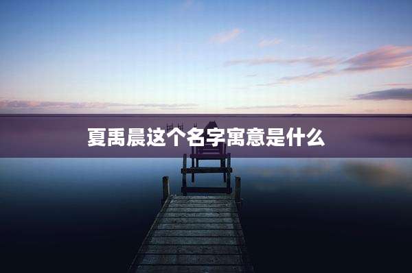 夏禹晨这个名字寓意是什么
