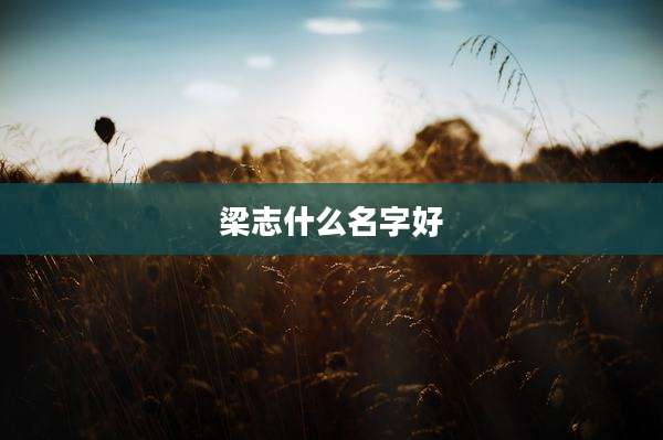 梁志什么名字好