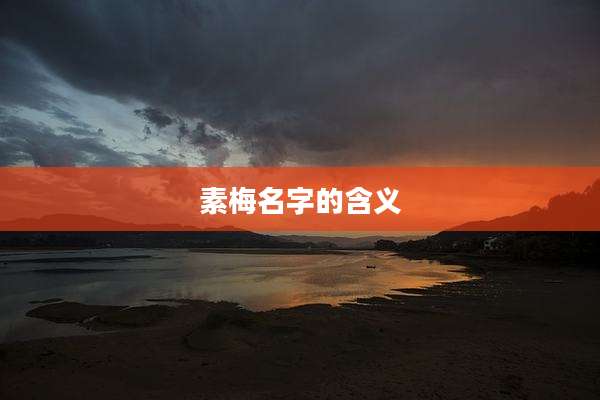 素梅名字的含义