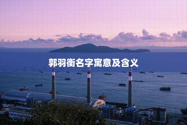郭羽衡名字寓意及含义