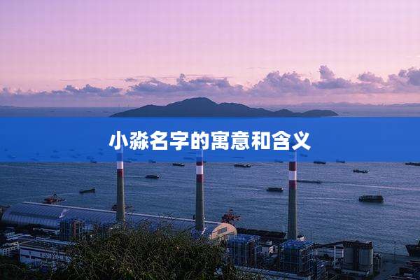 小淼名字的寓意和含义