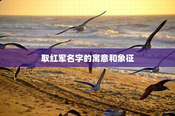 取红军名字的寓意和象征
