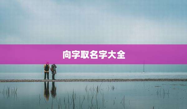 向字取名字大全