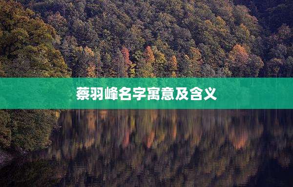 蔡羽峰名字寓意及含义