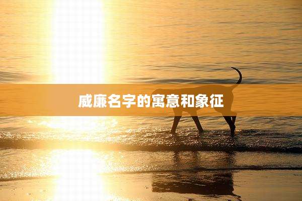 威廉名字的寓意和象征