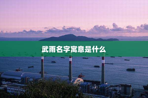 武雨名字寓意是什么