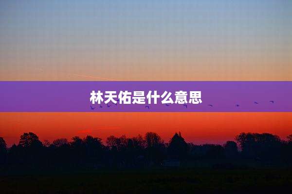 林天佑是什么意思