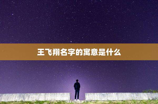 王飞翔名字的寓意是什么