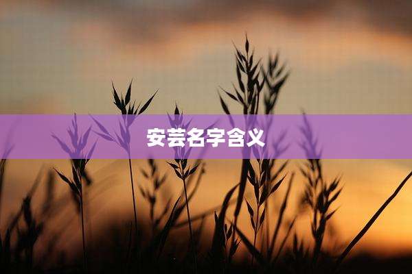 安芸名字含义