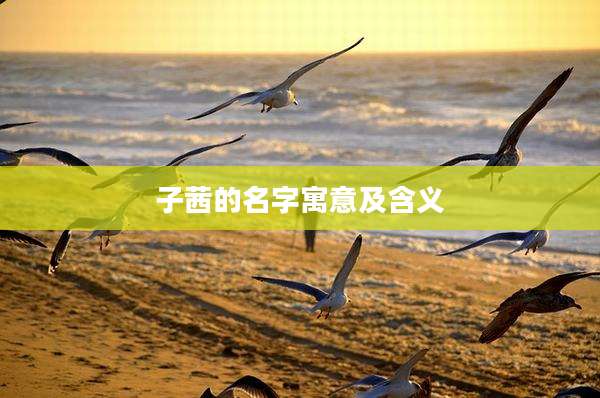 子茜的名字寓意及含义
