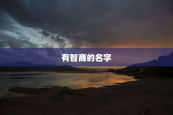有智商的名字