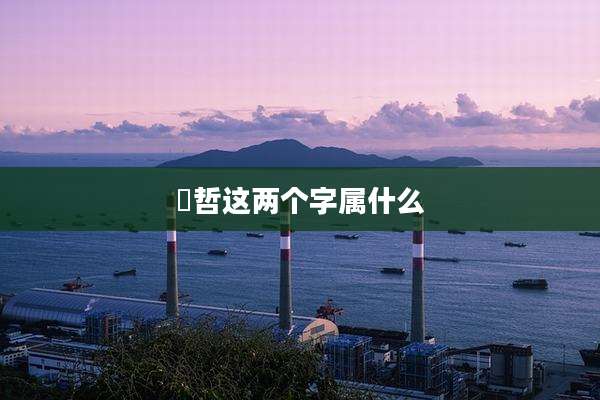 璟哲这两个字属什么