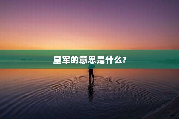 皇军的意思是什么?