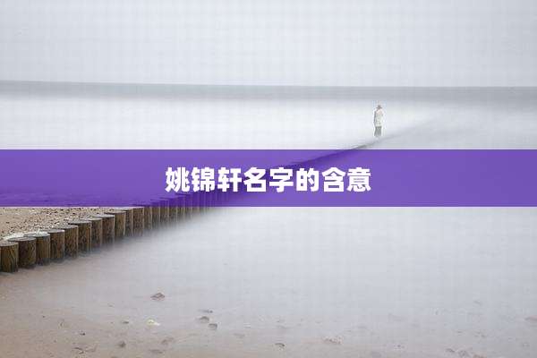 姚锦轩名字的含意