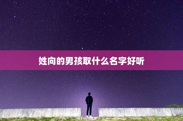 姓向的男孩取什么名字好听