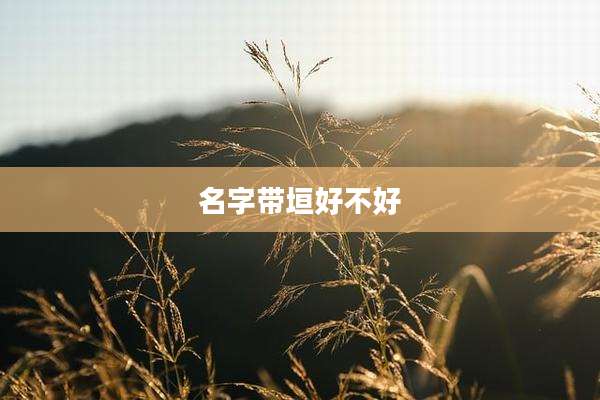 名字带垣好不好