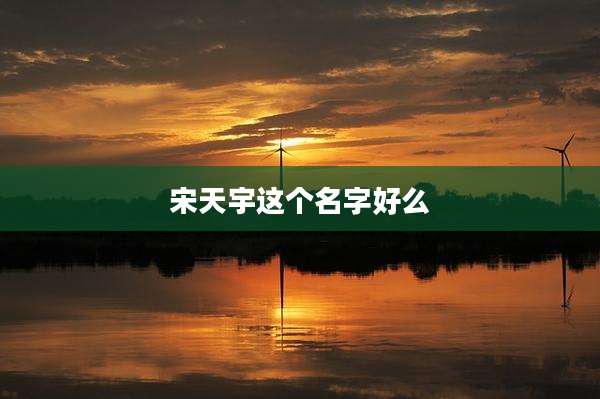 宋天宇这个名字好么